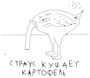 Стикер nabor_idiota