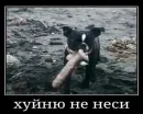 Голые бляди.