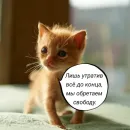Стикер Голые бляди.