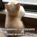 Стикер Голые бляди.