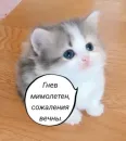 Стикер Голые бляди.