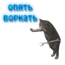 NelyubimovTeam