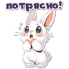 Нейро Зайки