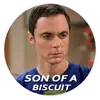 Стикер The Big Bang Theory