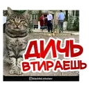 Стикер Ждун и другие