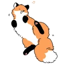 Numsiri fox