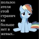 Стикер казеный унитаз