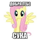 Стикер казеный унитаз