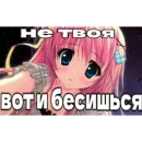 Стикер казеный унитаз