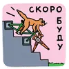 Стикер OK.RU KOT