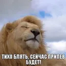 старые мемчики