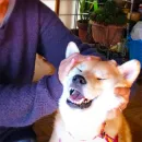 Стикер старые мемчики