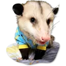 Стикер Опоссум грядет