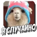 Стикер Альпаки