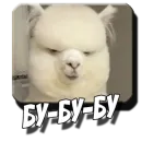 Стикер Альпаки