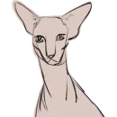 Стикер Mad cats