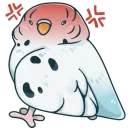 Стикер Попуг Пупсик