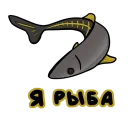 Парыбола