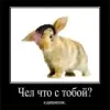 Стикер Чел