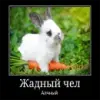 Стикер Чел