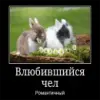 Стикер Чел