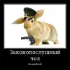Стикер Чел