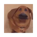 Стикер Memes