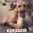 Стикер Переговоры by ZETW