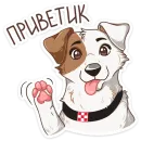Питомцы