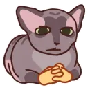 Стикер Pets Motions