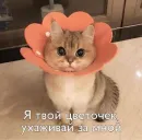 Пикчи для общения