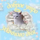 Стикер Котики и фразочки
