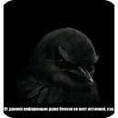 Стикер Birds Memes