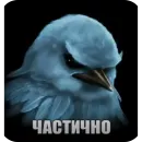 Стикер Birds Memes