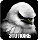 Стикер Birds Memes