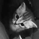 Стикер Will you take my hand, like then?