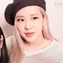 Стикер rose blackpink
