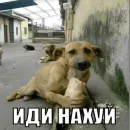 Стикер бля буду крабсбургером