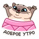 Котик Плюш