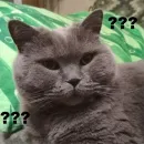 Стикер Плюшевая сексуальность