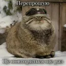 Стикер plyacek