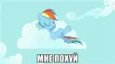 Стикер пОнЯшИ