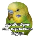 ПОДБОРКА МЕМОВ part 7