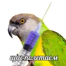 Стикер ПОДБОРКА МЕМОВ part 7