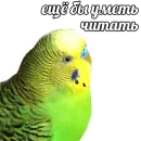 Стикер ПОДБОРКА МЕМОВ part 7