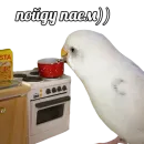 Стикер ПОДБОРКА МЕМОВ part 7