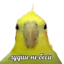 Стикер ПОДБОРКА МЕМОВ part 7