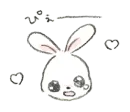 Bunny ✰