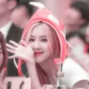 Стикер rose blackpink