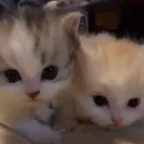 Стикер pqpqppqpqpqpqpqp